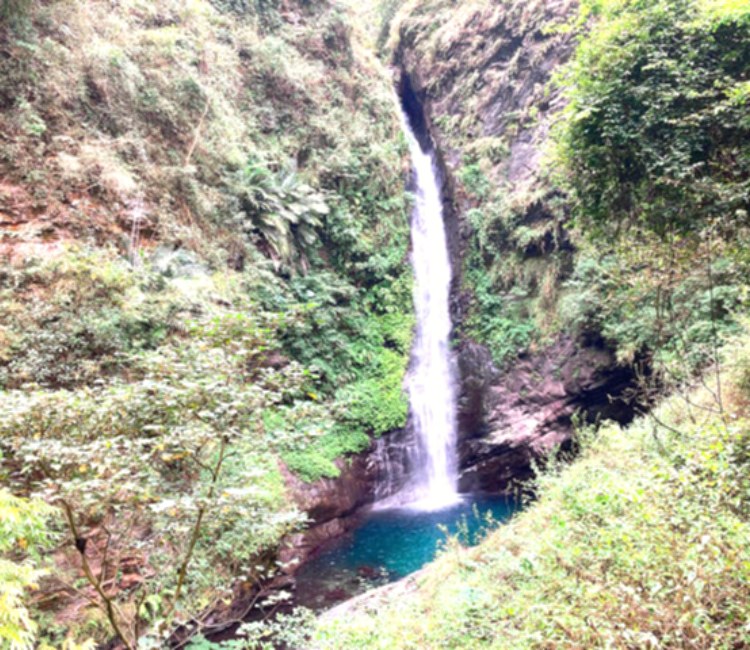 原生植物園