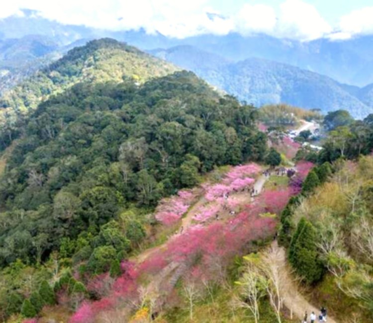 岡山公園