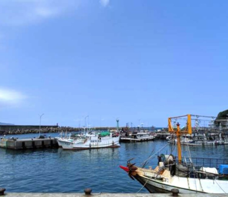 野柳漁港