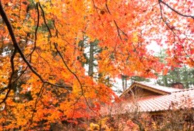 福壽山農場
