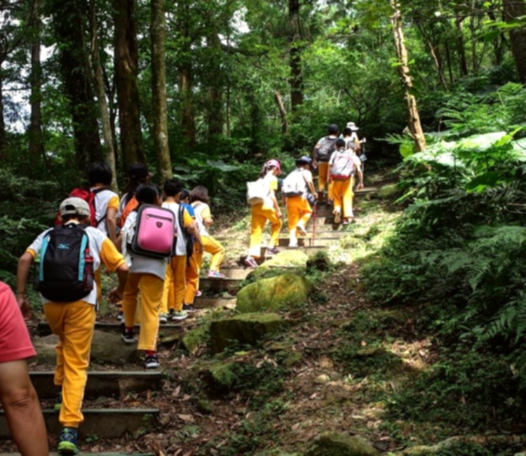 東眼山自然教育中心
